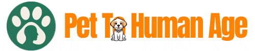 Pet To Human Age